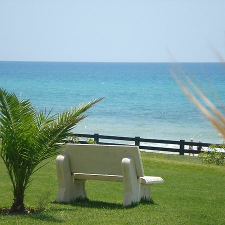 B&B Cote D'Azur Hammamet Exteriör bild