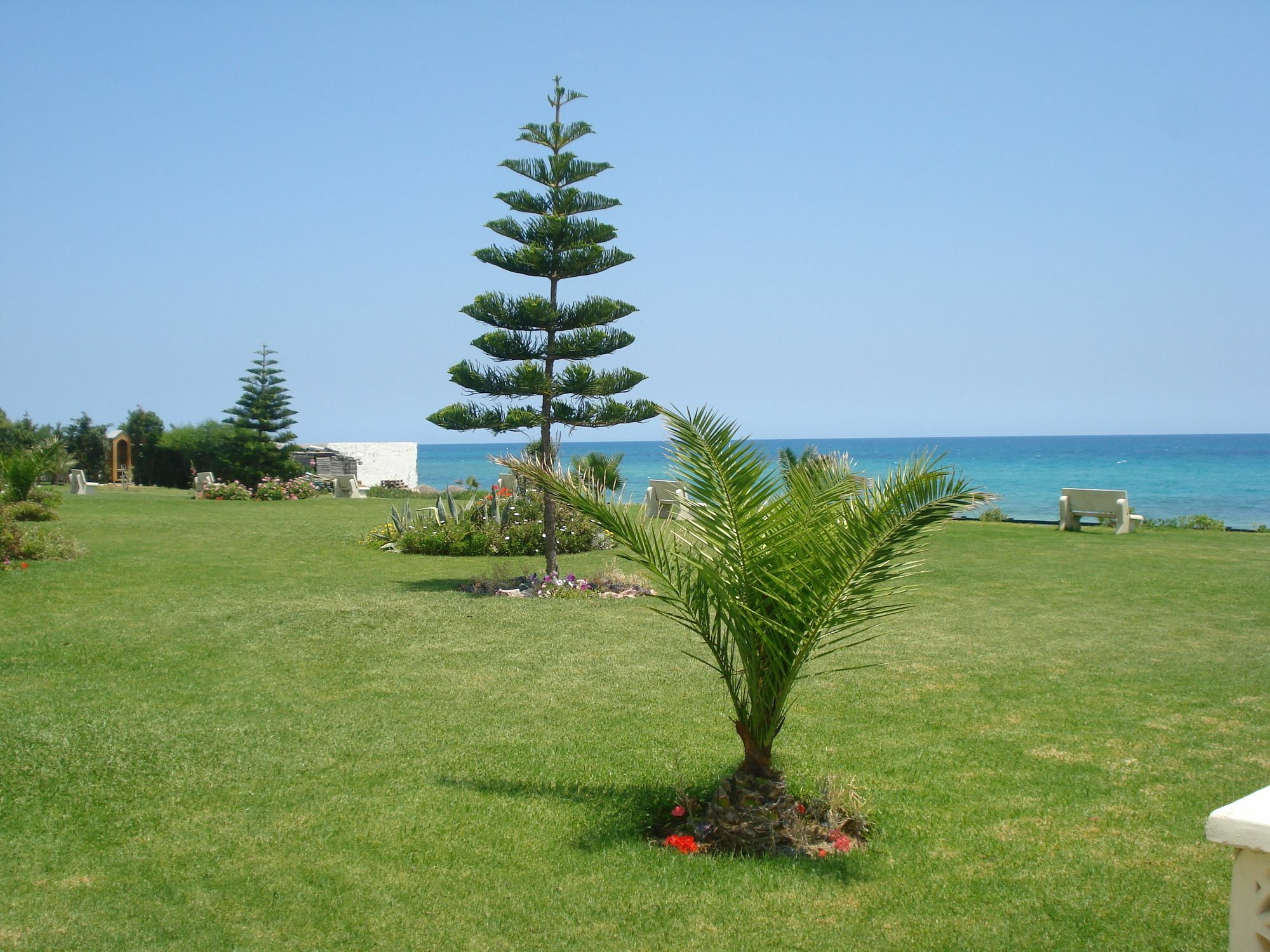 B&B Cote D'Azur Hammamet Exteriör bild