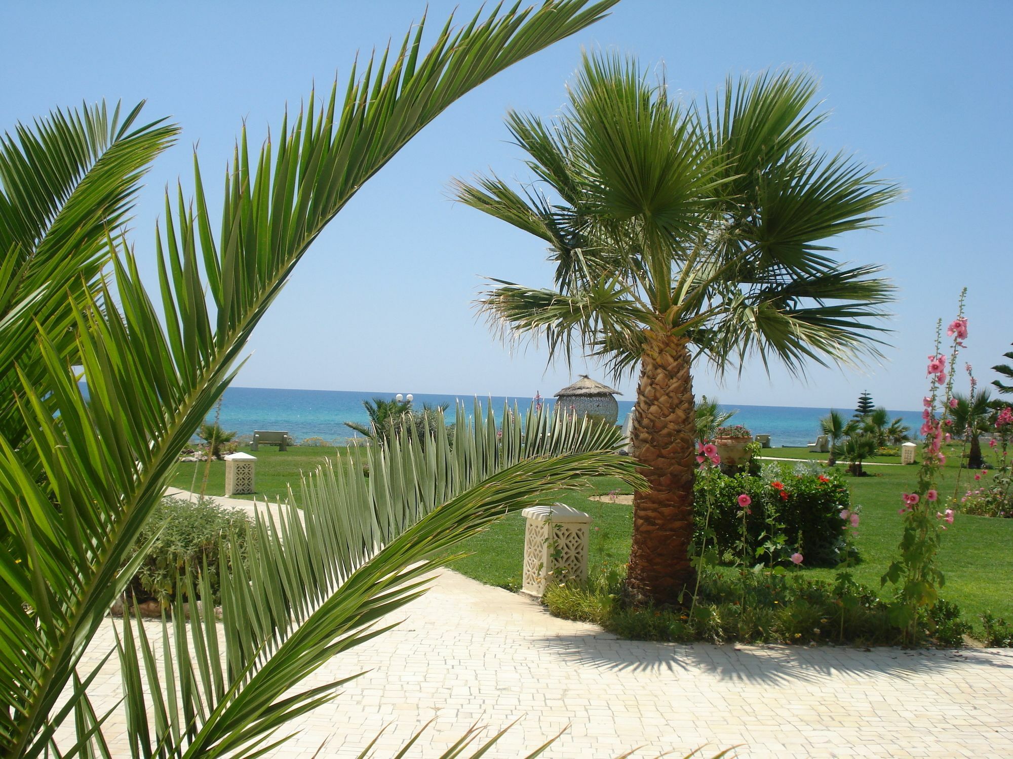 B&B Cote D'Azur Hammamet Exteriör bild