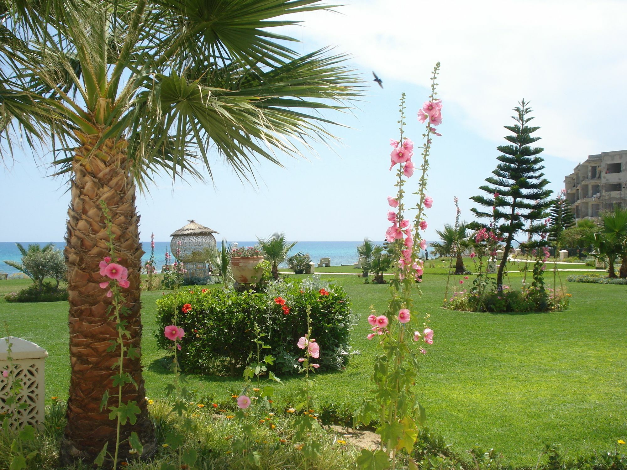 B&B Cote D'Azur Hammamet Exteriör bild